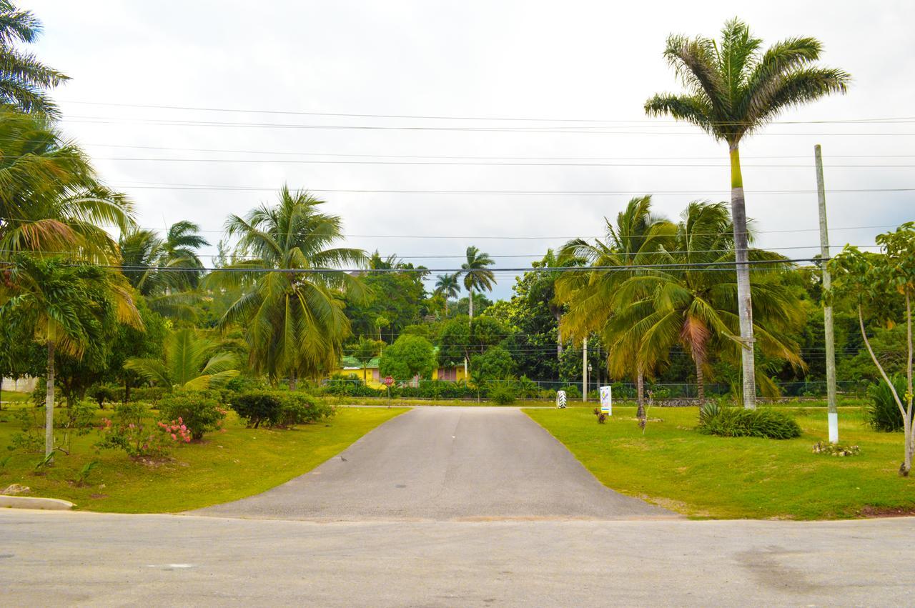Sahara Dela Mer Inn Montego Bay Extérieur photo